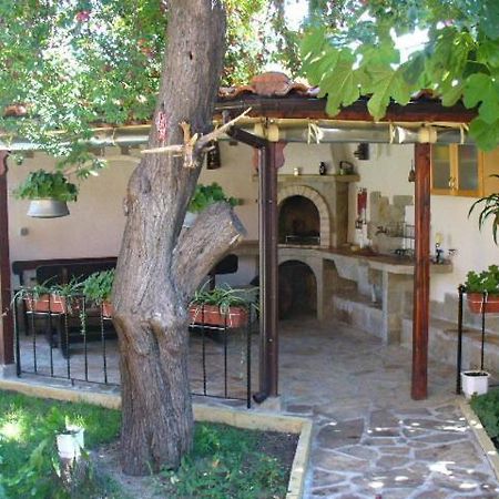Guest House Alex تشيرنوموريتس المظهر الخارجي الصورة