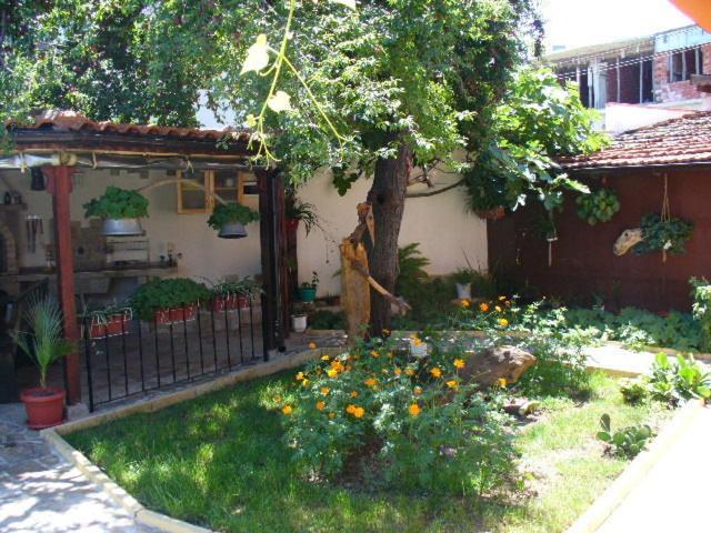 Guest House Alex تشيرنوموريتس المظهر الخارجي الصورة