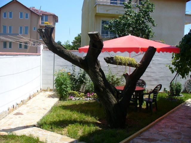Guest House Alex تشيرنوموريتس المظهر الخارجي الصورة